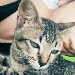 Meet your Posher, Shayla